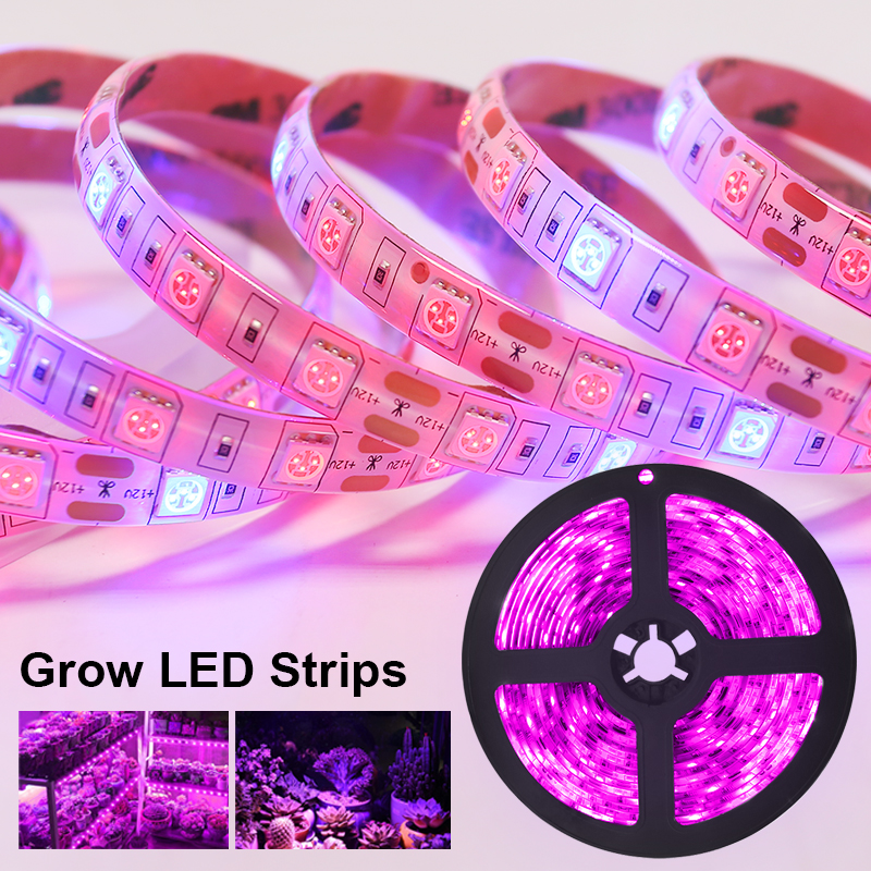 Planted Aquarium Hours - 5V Grow Led Flower Aquarium Full