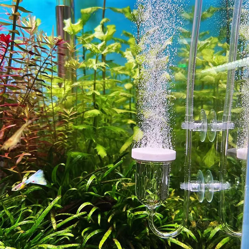 Aquarium Lily Pipe - 1Set Glass Air Pump Sand Stone