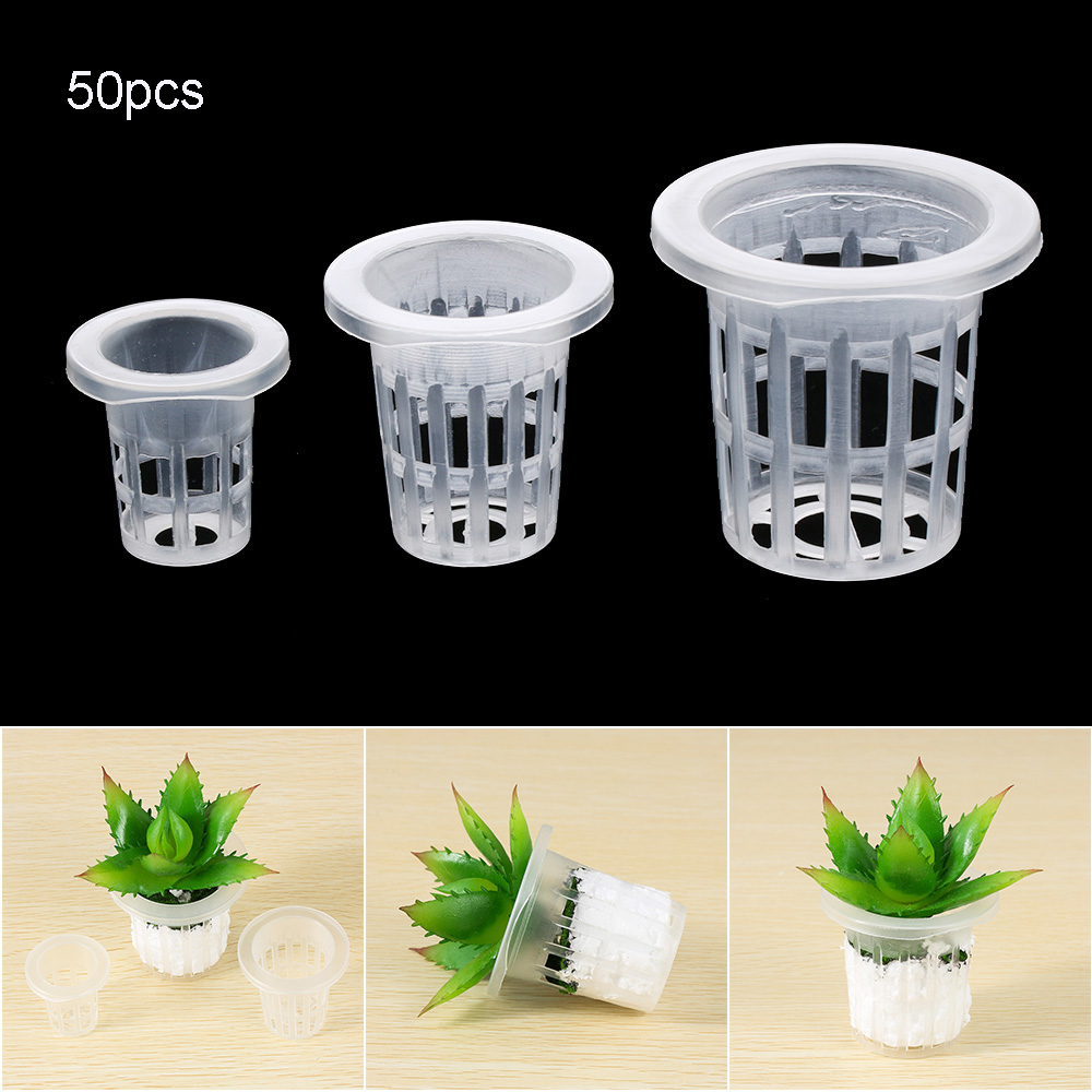 Aquarium Plant Nursery - 10/50pcs Garden Supplies Aquarium Planting Soilless