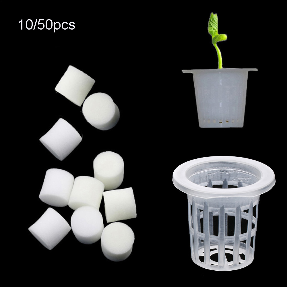 Aquarium Plant Nursery - 10/50pcs Durable Planting Aquarium Soilless Hydroponic