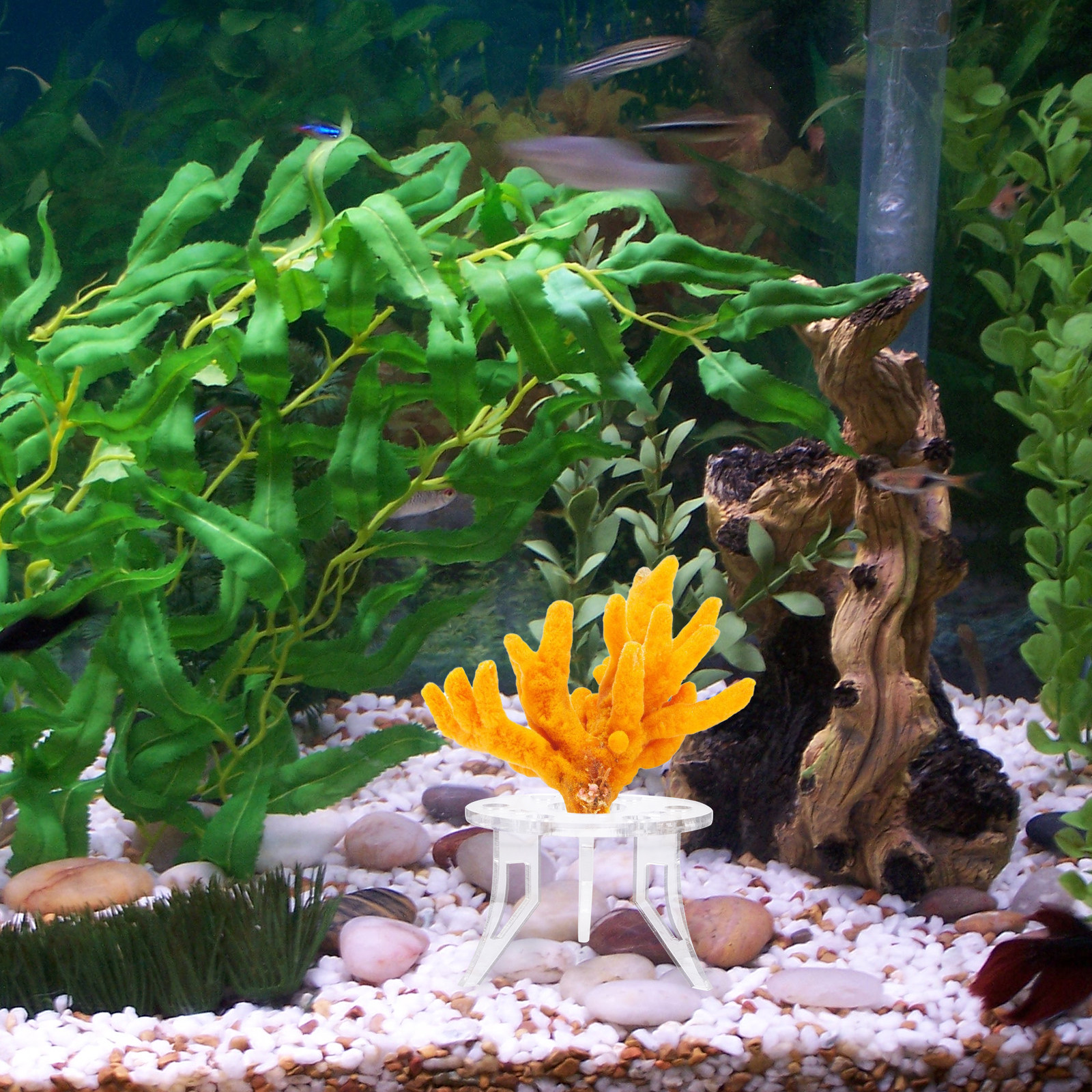 Aquarium Planted Setup - 1Pcs Coral Base Stylish Strong Aquarium