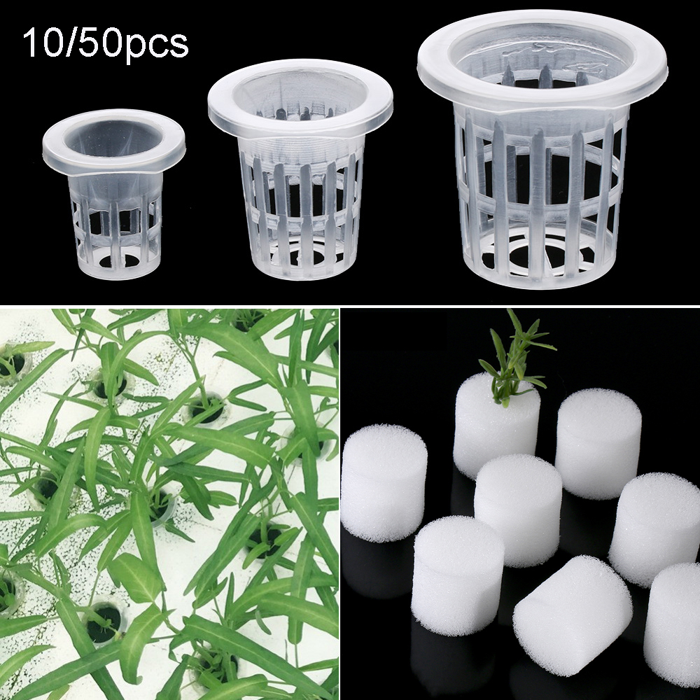 Aquarium Plant Nursery - 10/50pcs Garden Supplies Planting Aquarium Cultivation