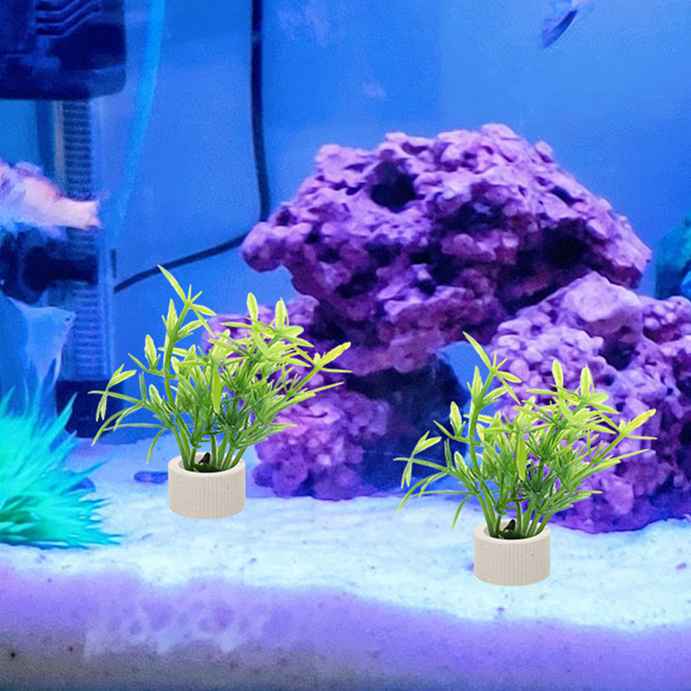 5Pcs Classy Ceramic Aquarium P - огляд і ціна Aquarium Plant Nursery