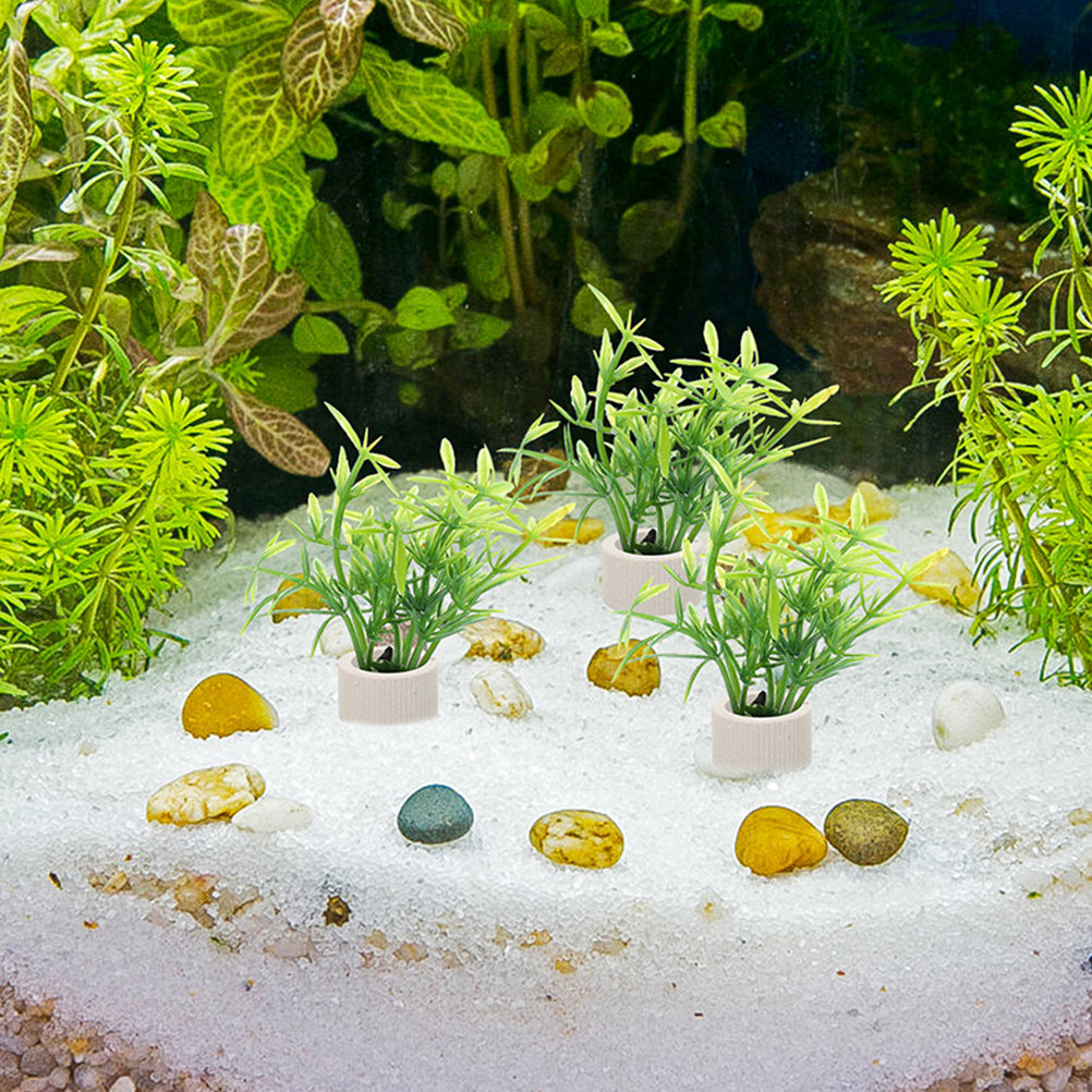 5Pcs Classy Ceramic Aquarium P - огляд і ціна Aquarium Plant Nursery