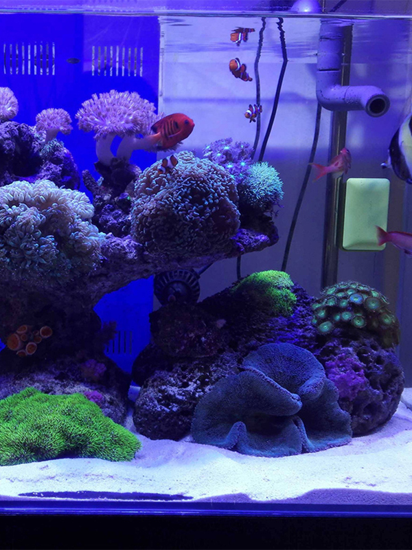 White Aquarium Sand Bot Decora - огляд і ціна Aquarium Sand White
