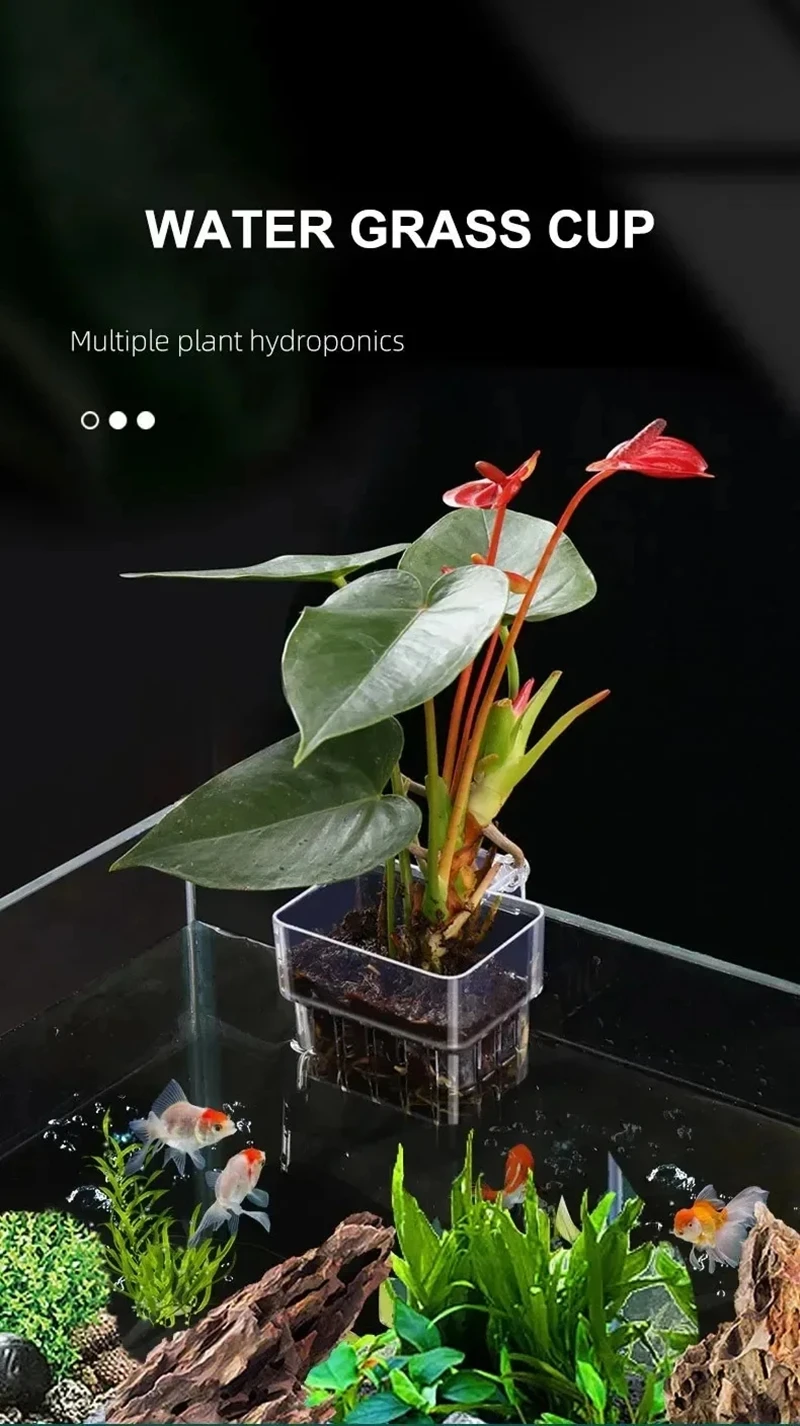 Transparent Aquarium Plant Bas - огляд і ціна Aquarium Plant Nursery