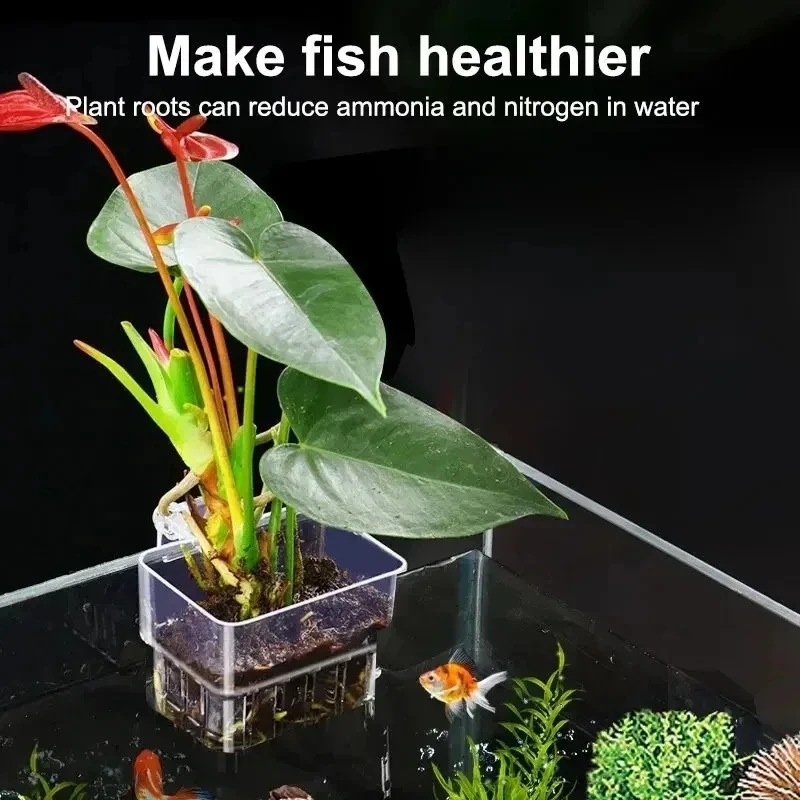 Transparent Aquarium Plant Bas - огляд і ціна Aquarium Plant Nursery
