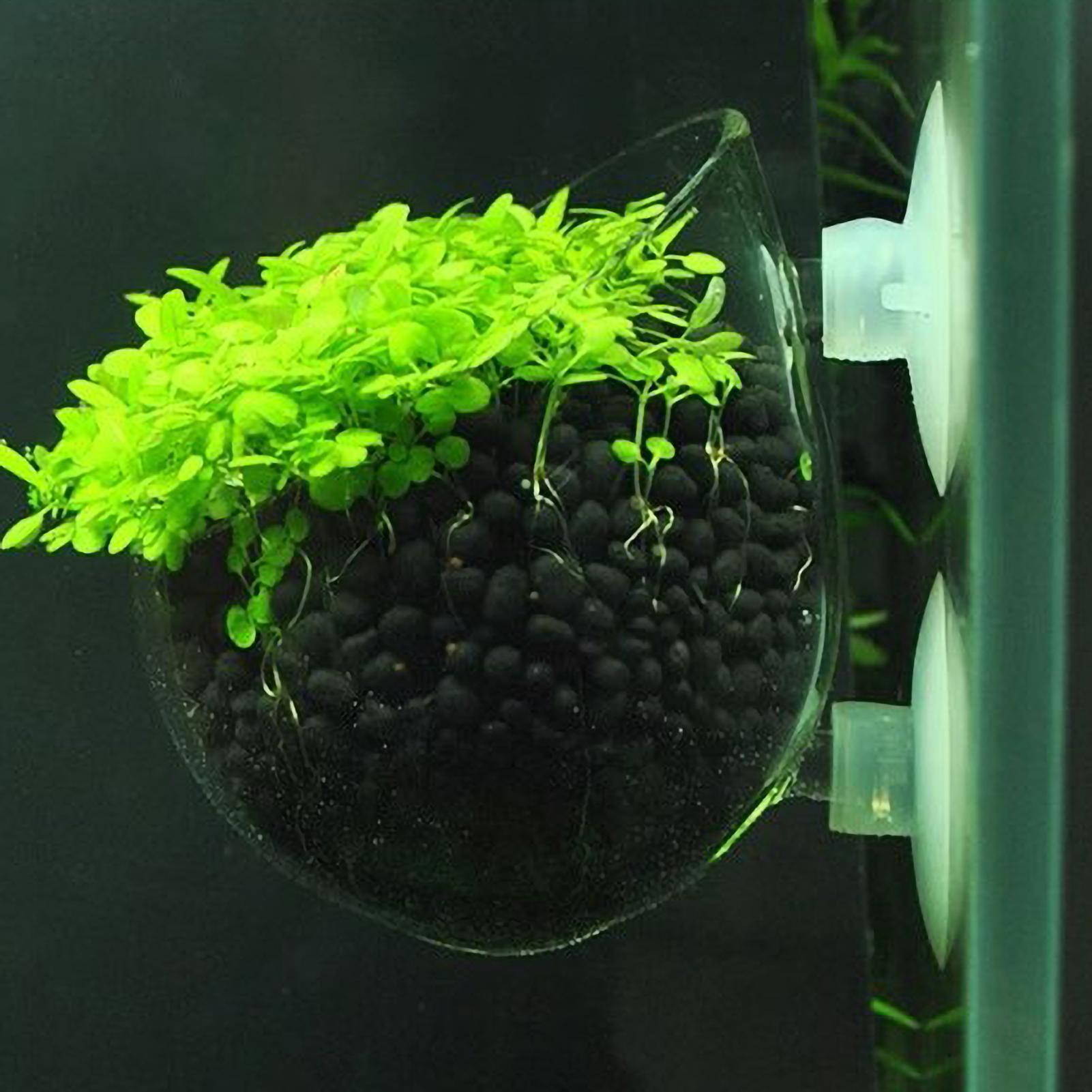 Aquarium Decoration Plant Cup  - огляд і ціна Aquarium Plant Nursery