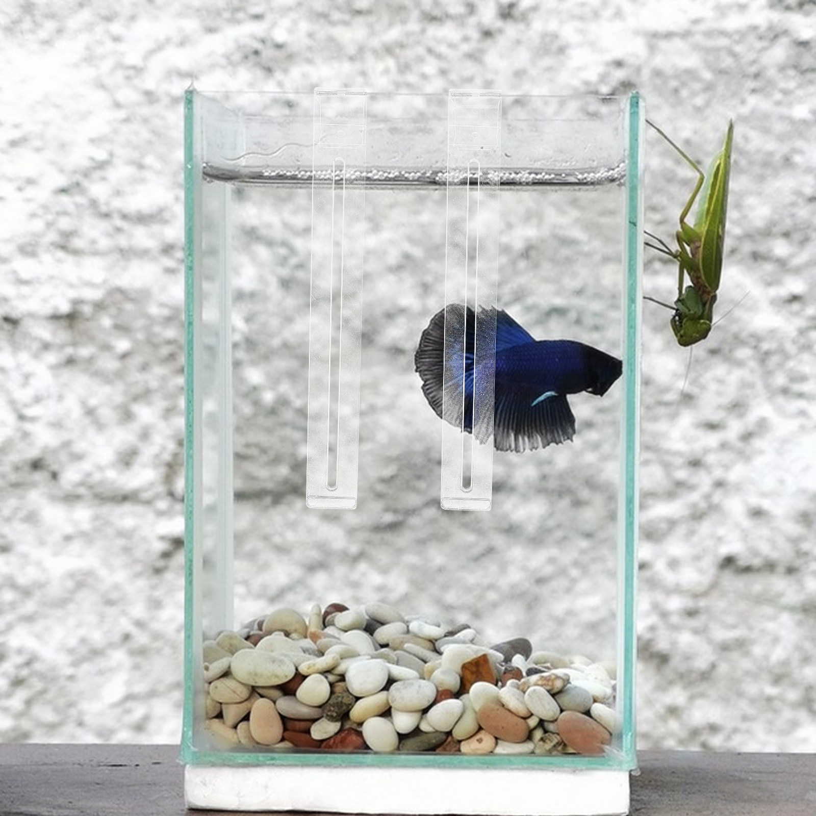 2Pcs Lightweight Sturdy Plasti - огляд і ціна Aquarium Planted Setup