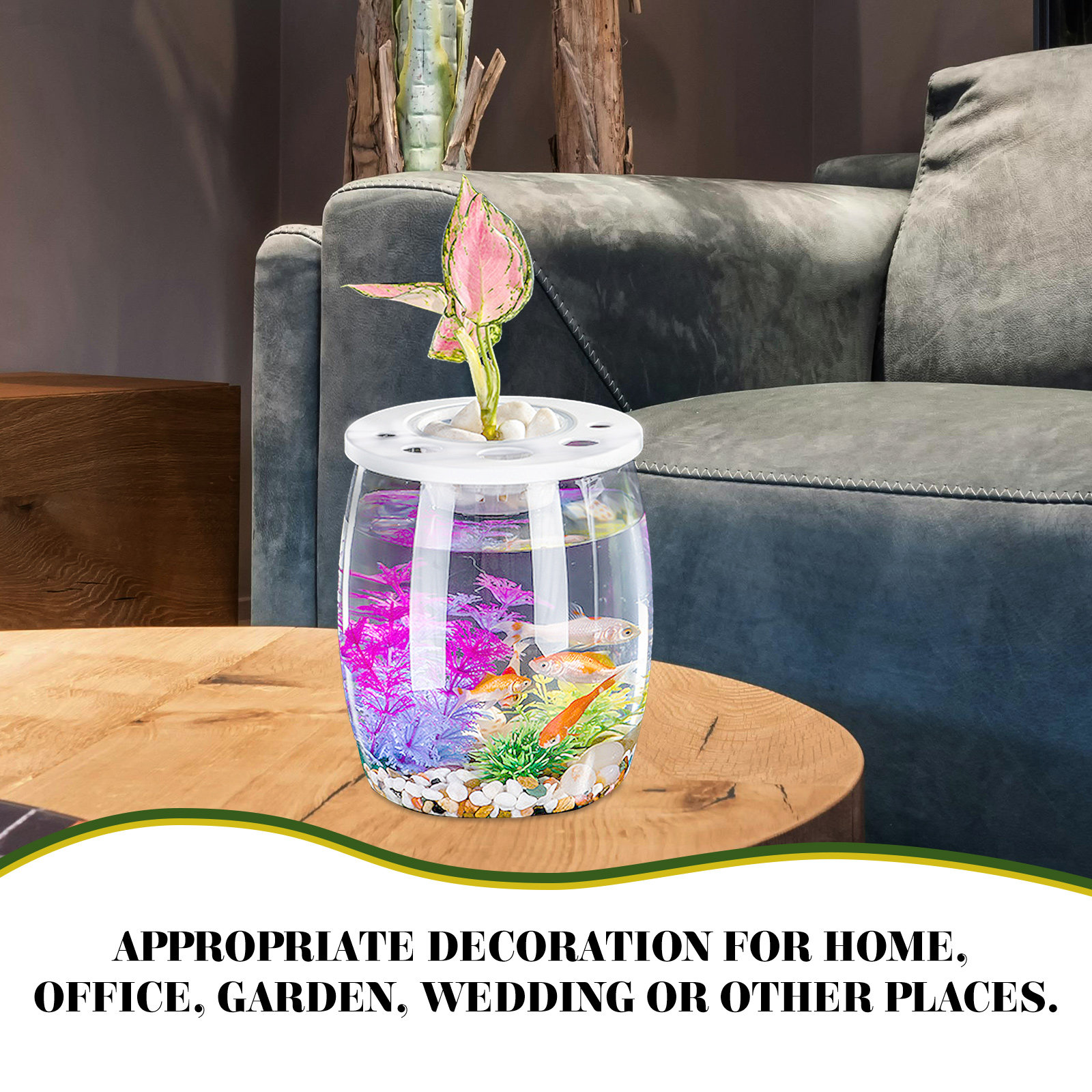 Small Transparent Hydroponic F - огляд і ціна Aquarium Planted Setup