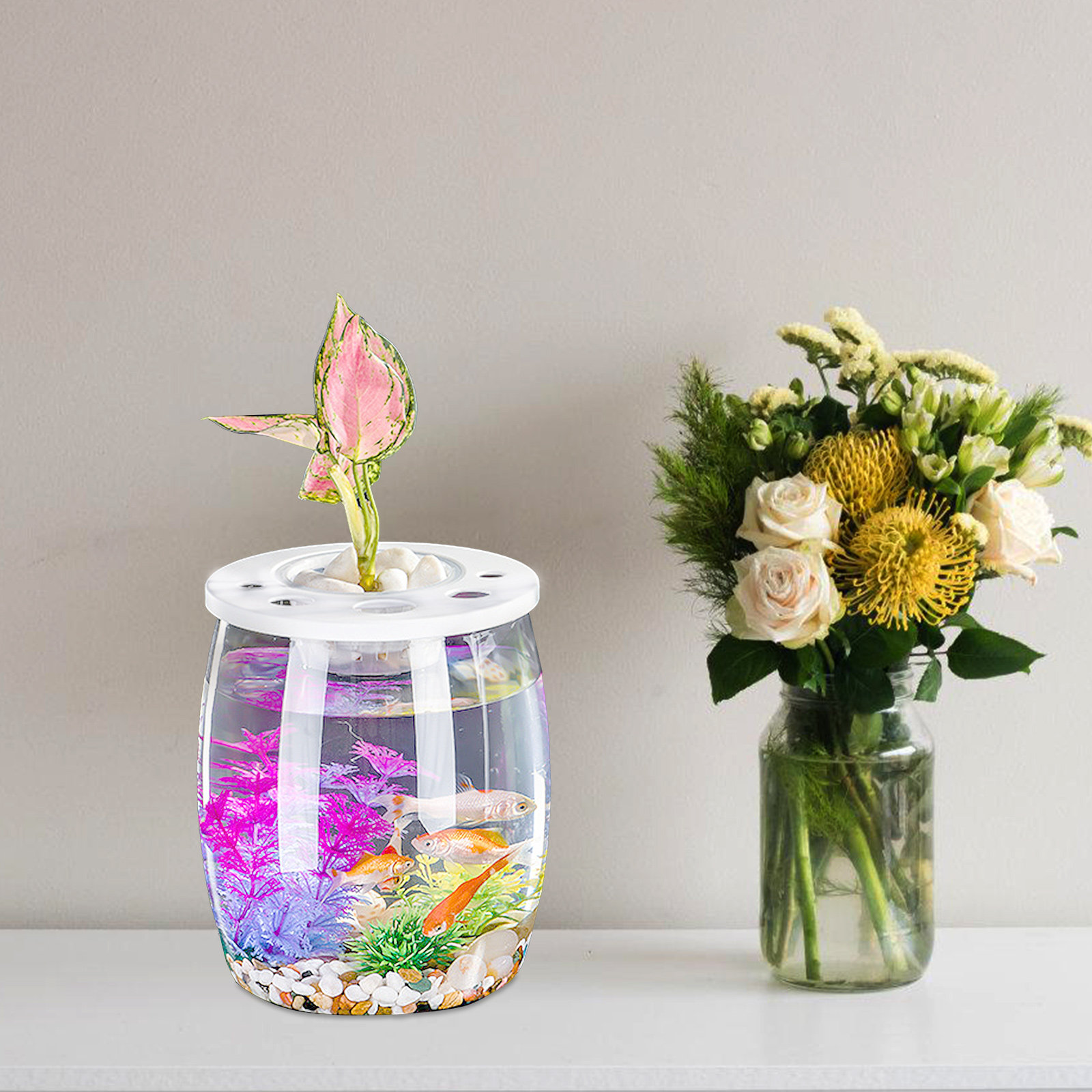 Small Transparent Hydroponic F - огляд і ціна Aquarium Planted Setup