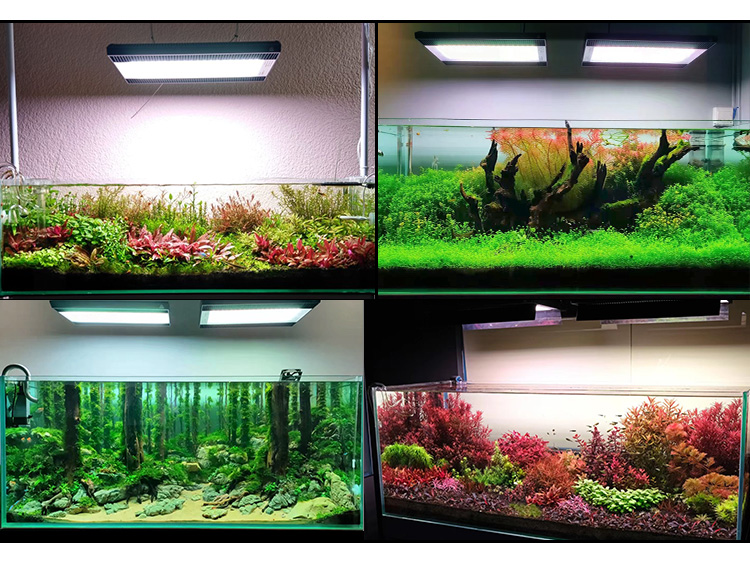 WEEK AQUA A430Pro LED Aquarium - огляд і ціна Aquarium Plant Light Spectrum