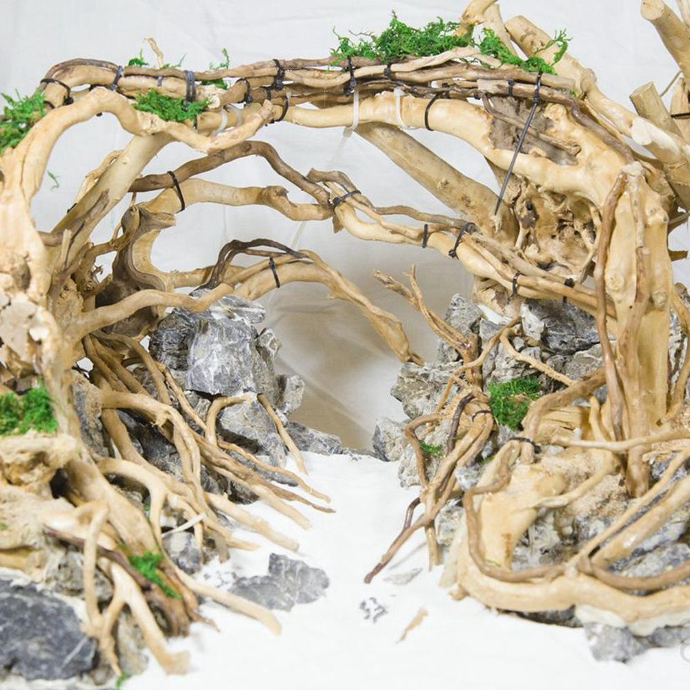 N1N Wood Reptile Tank Backgrou - огляд і ціна Planted Aquarium With Driftwood