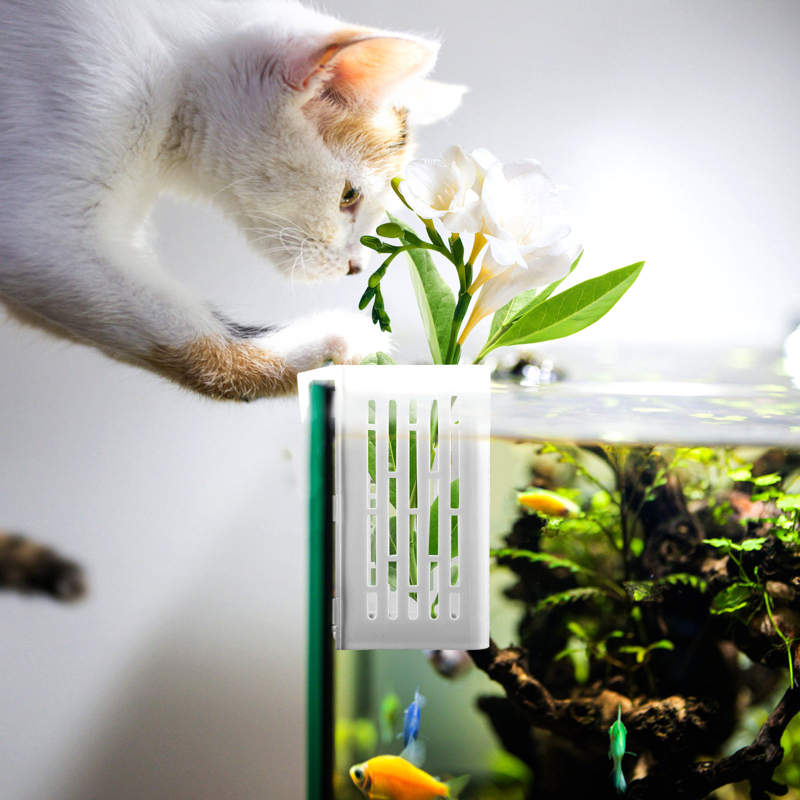 2Pcs Aquatic Plant Holder Hang - огляд і ціна Aquarium Planted Setup