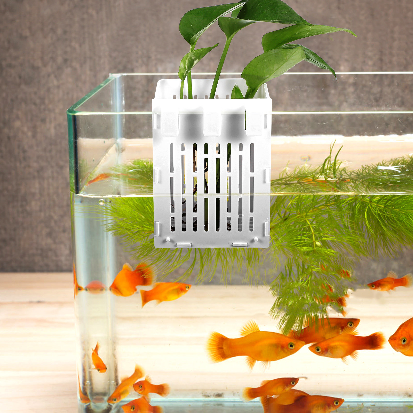 2Pcs Aquatic Plant Holder Hang - огляд і ціна Aquarium Planted Setup