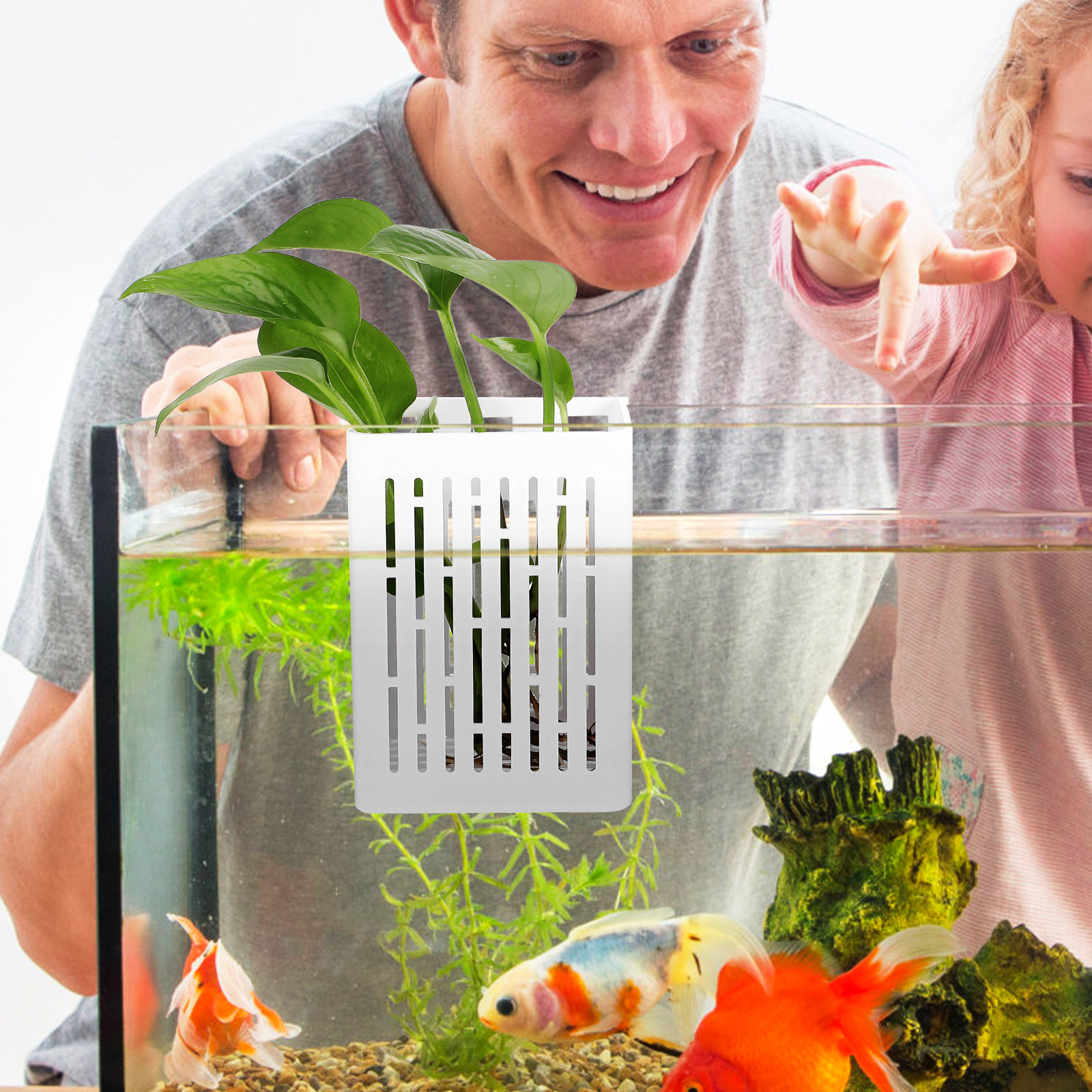 2Pcs Aquatic Plant Holder Hang - огляд і ціна Aquarium Planted Setup
