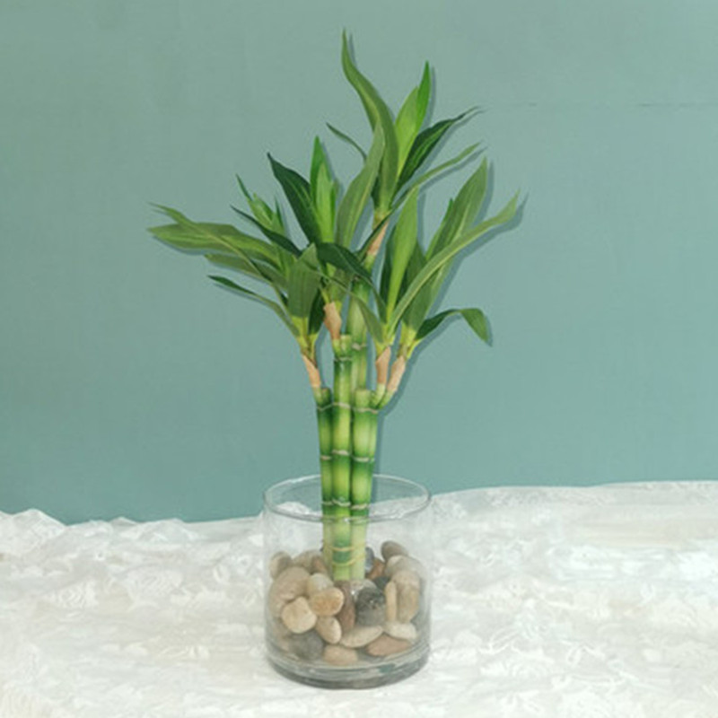 New 40cm rFtificial Lucky Bamb - огляд і ціна Aquarium Planted Tank