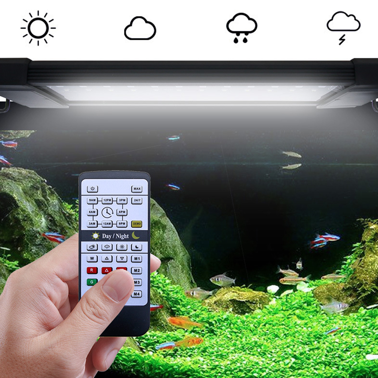 Liweida 24 Hours Natural Light - огляд і ціна Planted Aquarium Hours