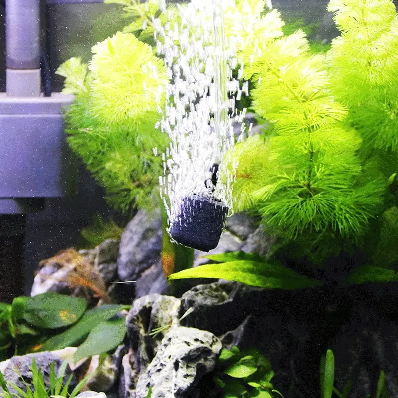 Aquarium Air Pump Accessories  - огляд і ціна Aquarium Lily Pipe