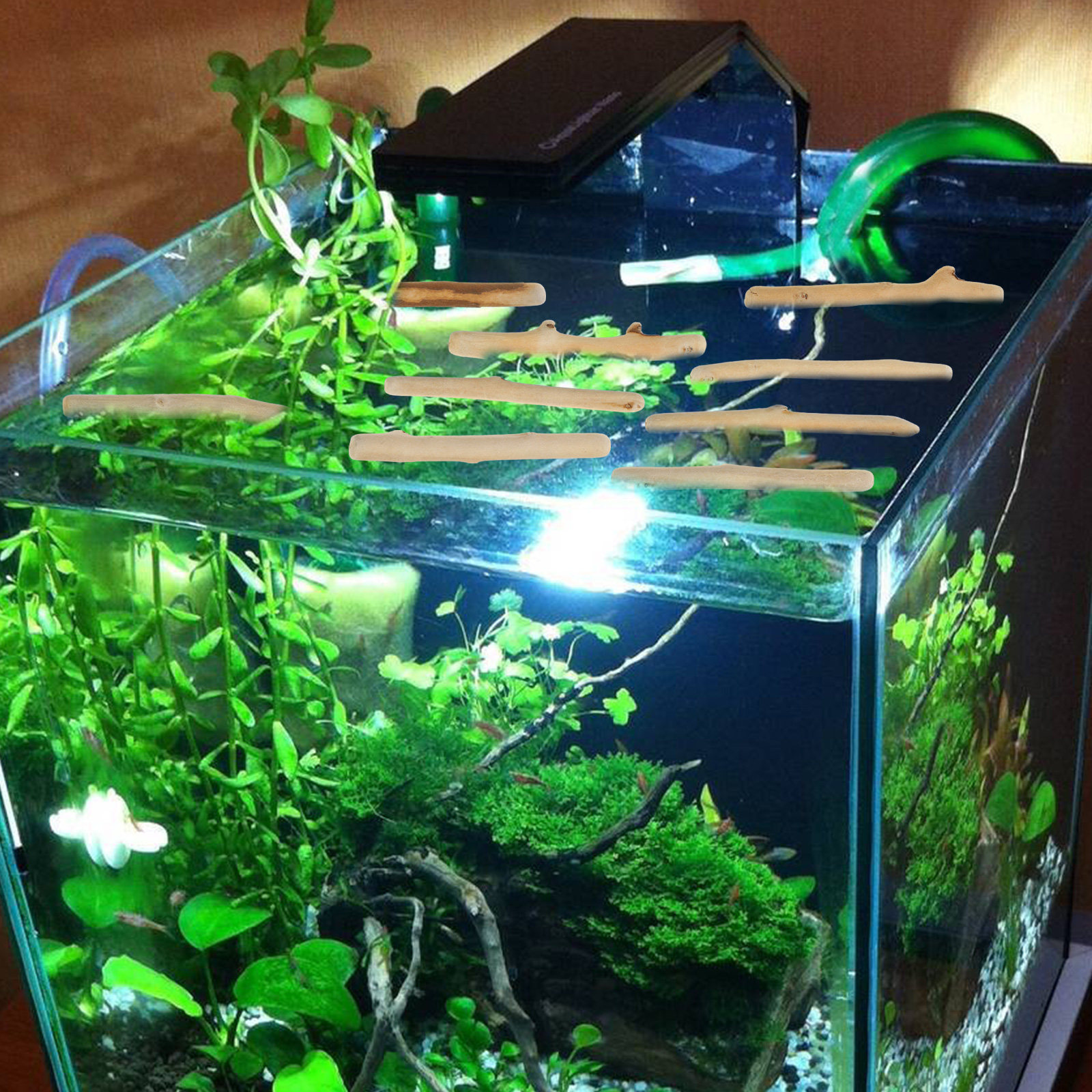 1Set Natural Driftwood Decorat - огляд і ціна Planted Aquarium With Driftwood