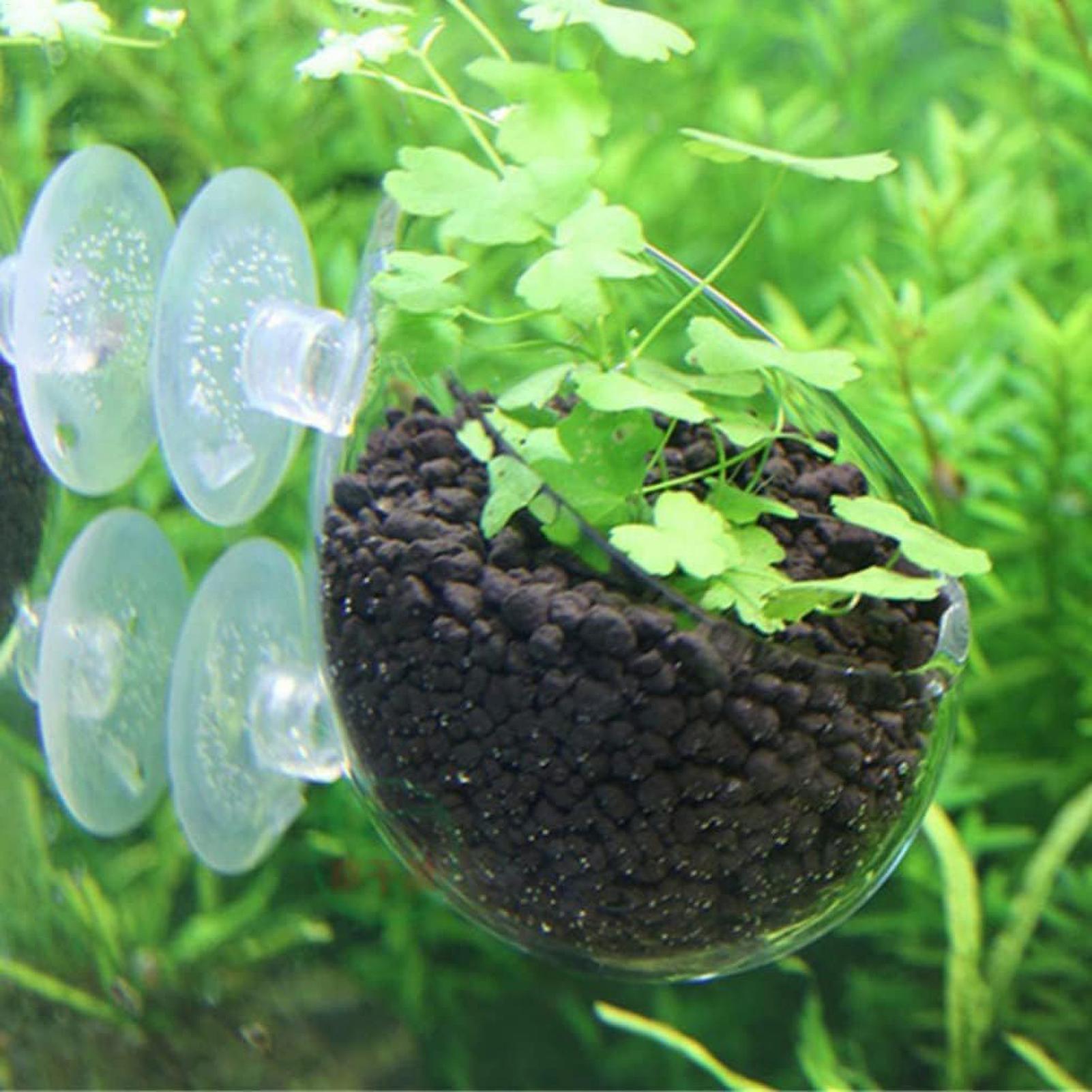 Aquarium Decoration Plant Cup  - огляд і ціна Aquarium Plant Nursery