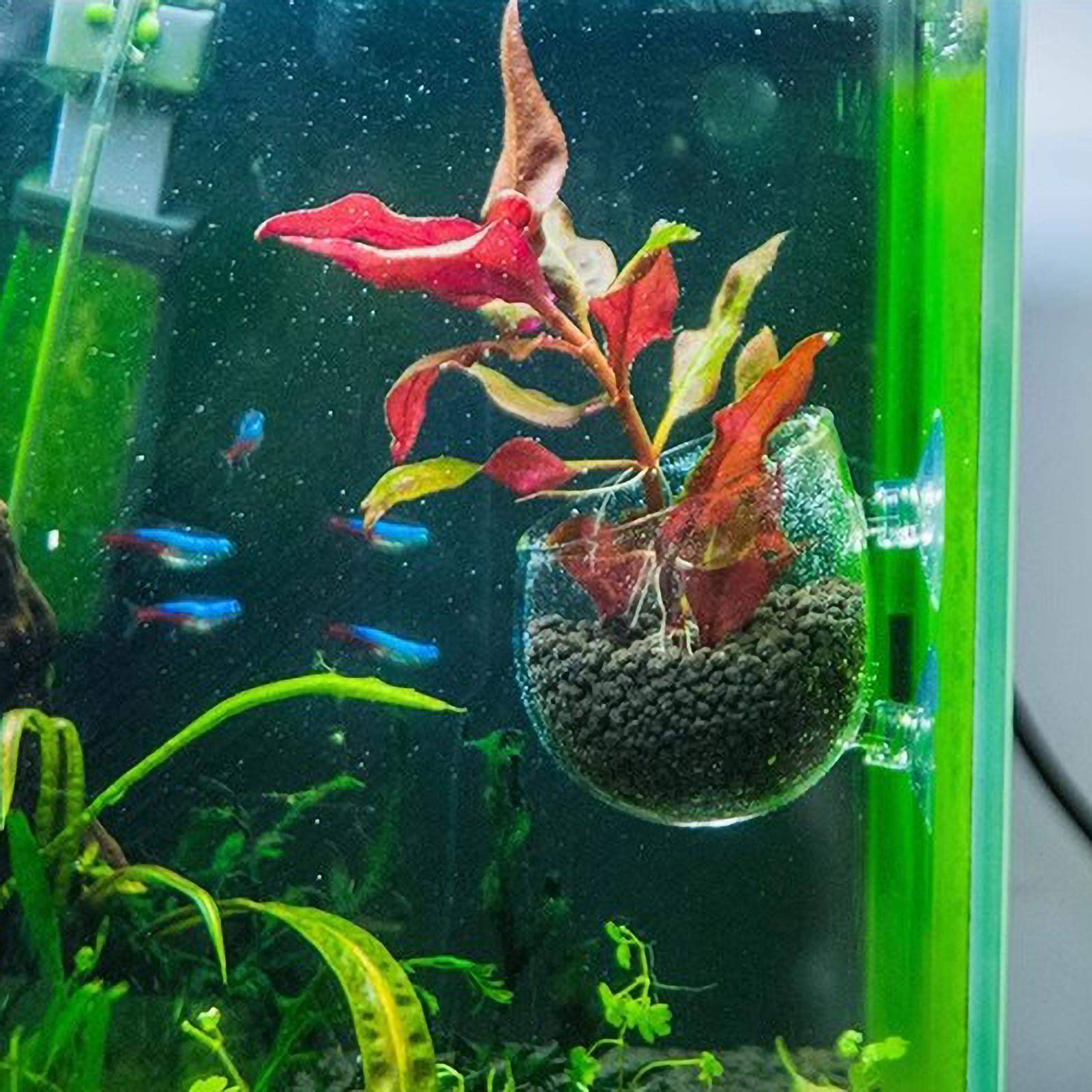Aquarium Decoration Plant Cup  - огляд і ціна Aquarium Plant Nursery