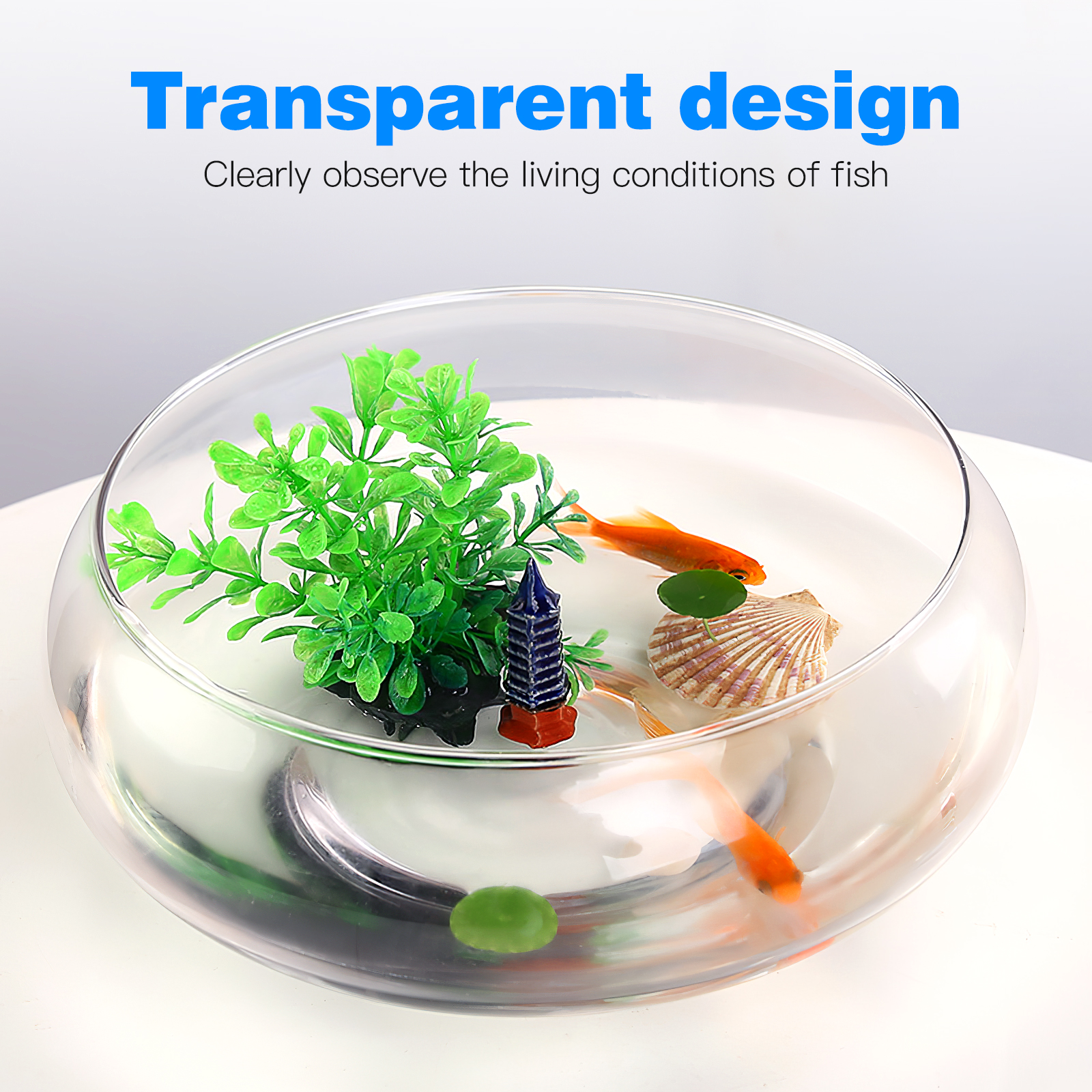 Aquarium Tank 2800ml Fish Tank - огляд і ціна Aquarium Plant Nursery