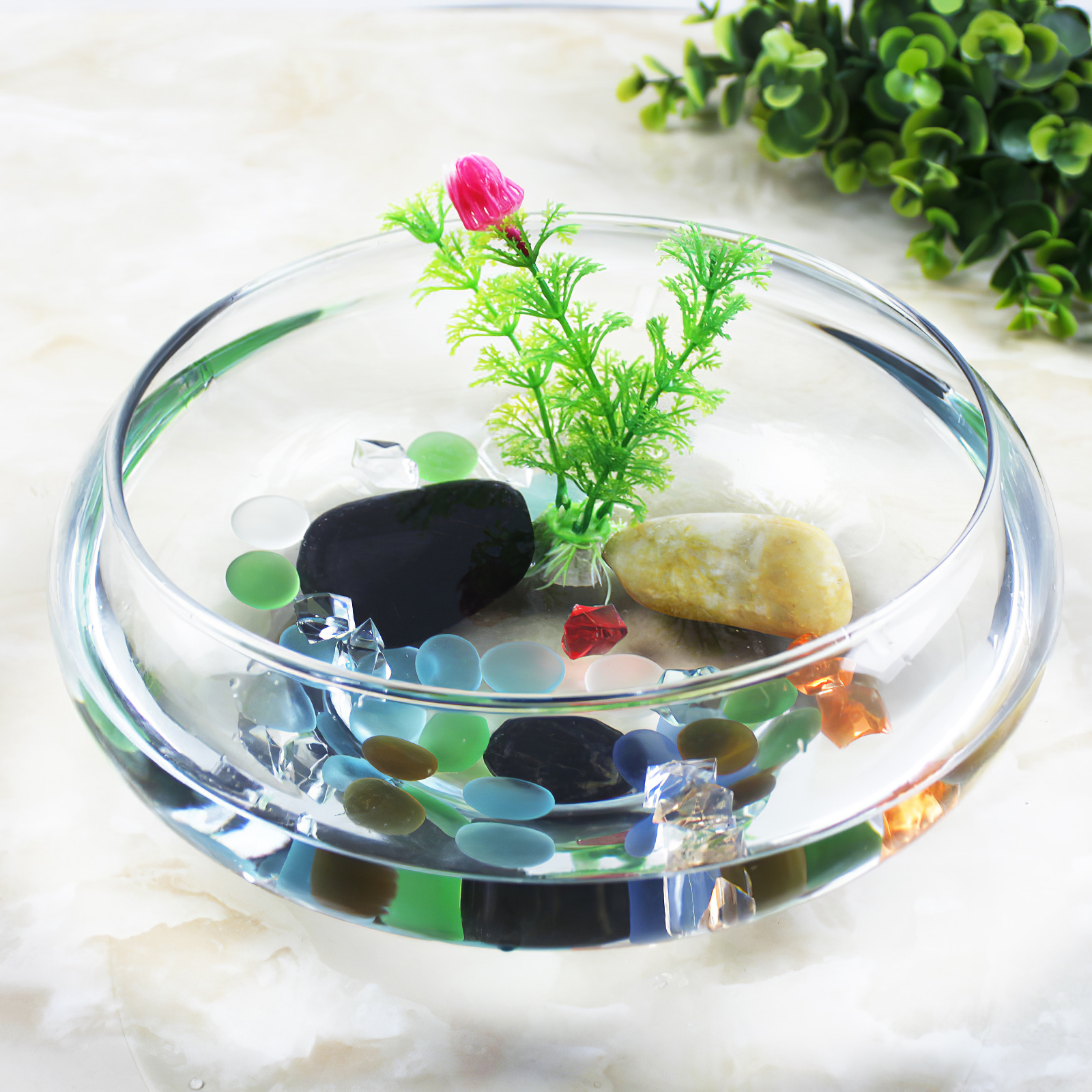 Aquarium Tank 2800ml Fish Tank - огляд і ціна Aquarium Plant Nursery