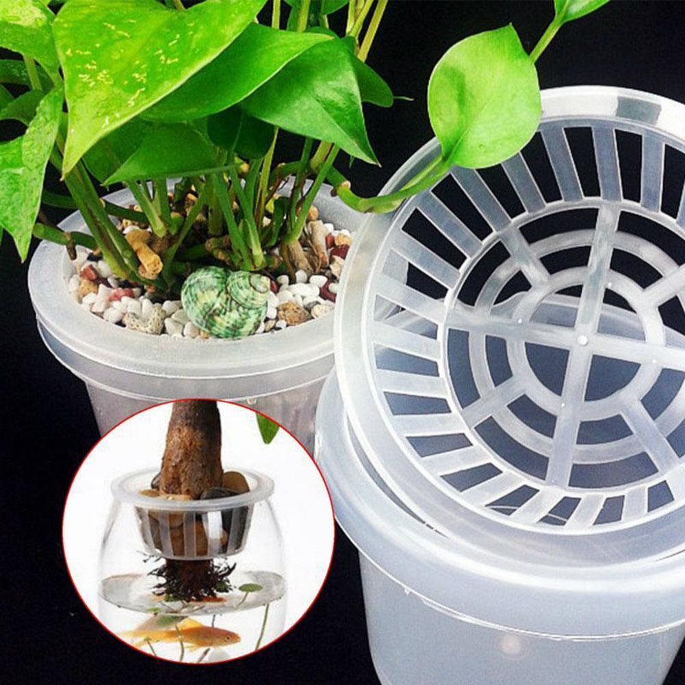 Air Circulation Aquarium Aquat - огляд і ціна Aquarium Plant Nursery