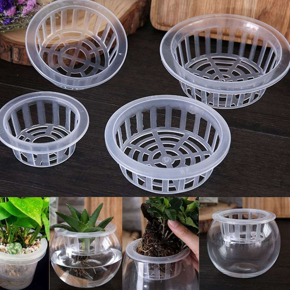 Air Circulation Aquarium Aquat - огляд і ціна Aquarium Plant Nursery