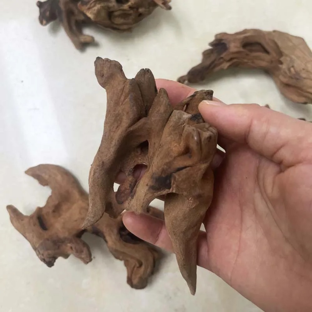 1PC Natural Sinkable Driftwood - огляд і ціна Planted Aquarium With Driftwood