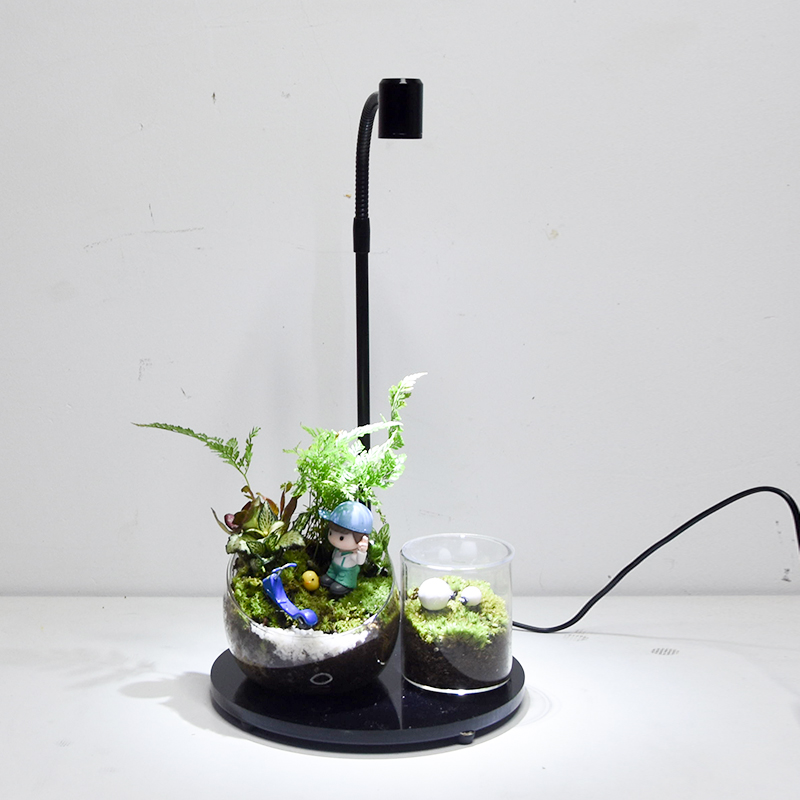 Full Spectrum wth Light Lamp f - огляд і ціна Planted Aquarium Care