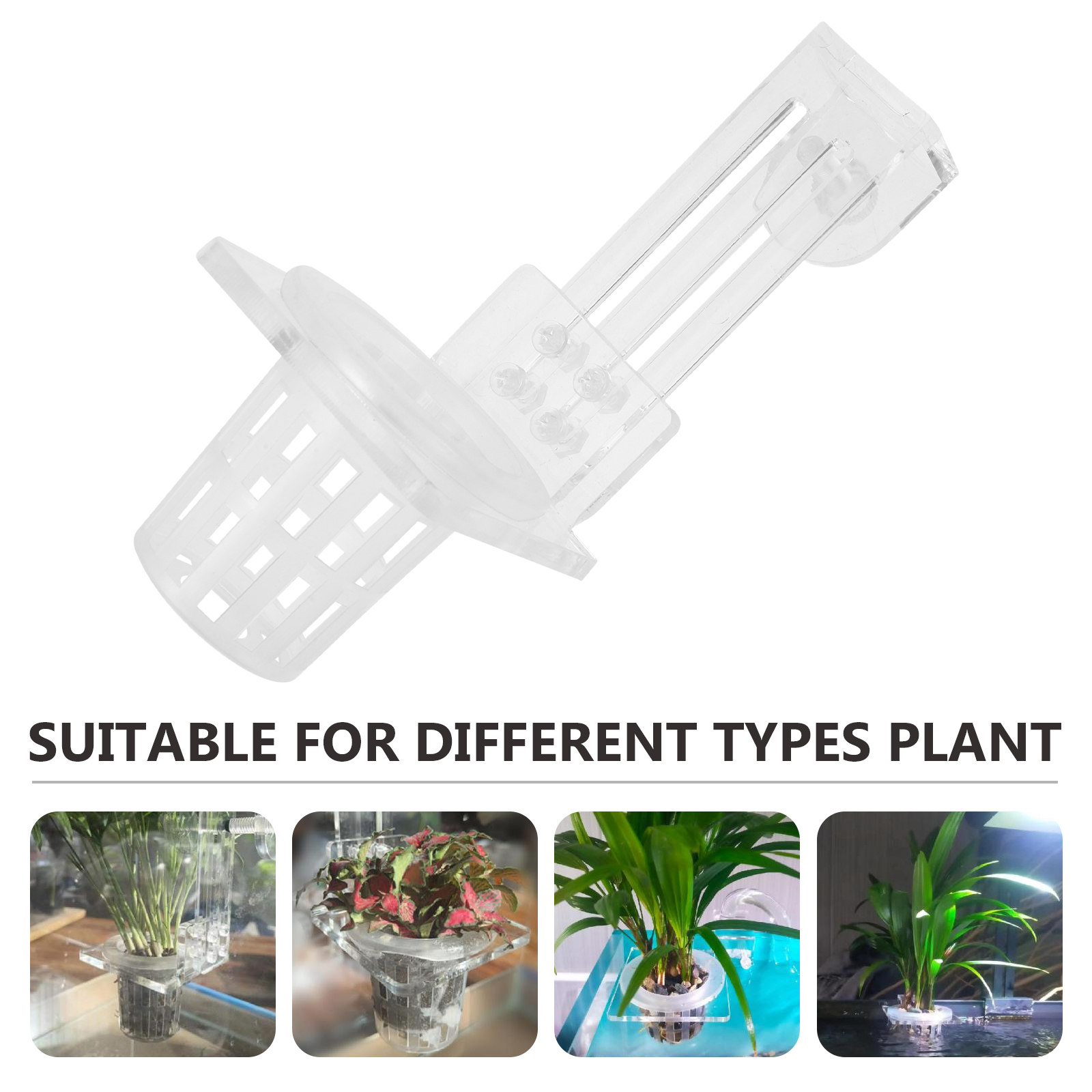 Aquarium Plant Holder Hanging  - огляд і ціна Aquarium Planted Setup
