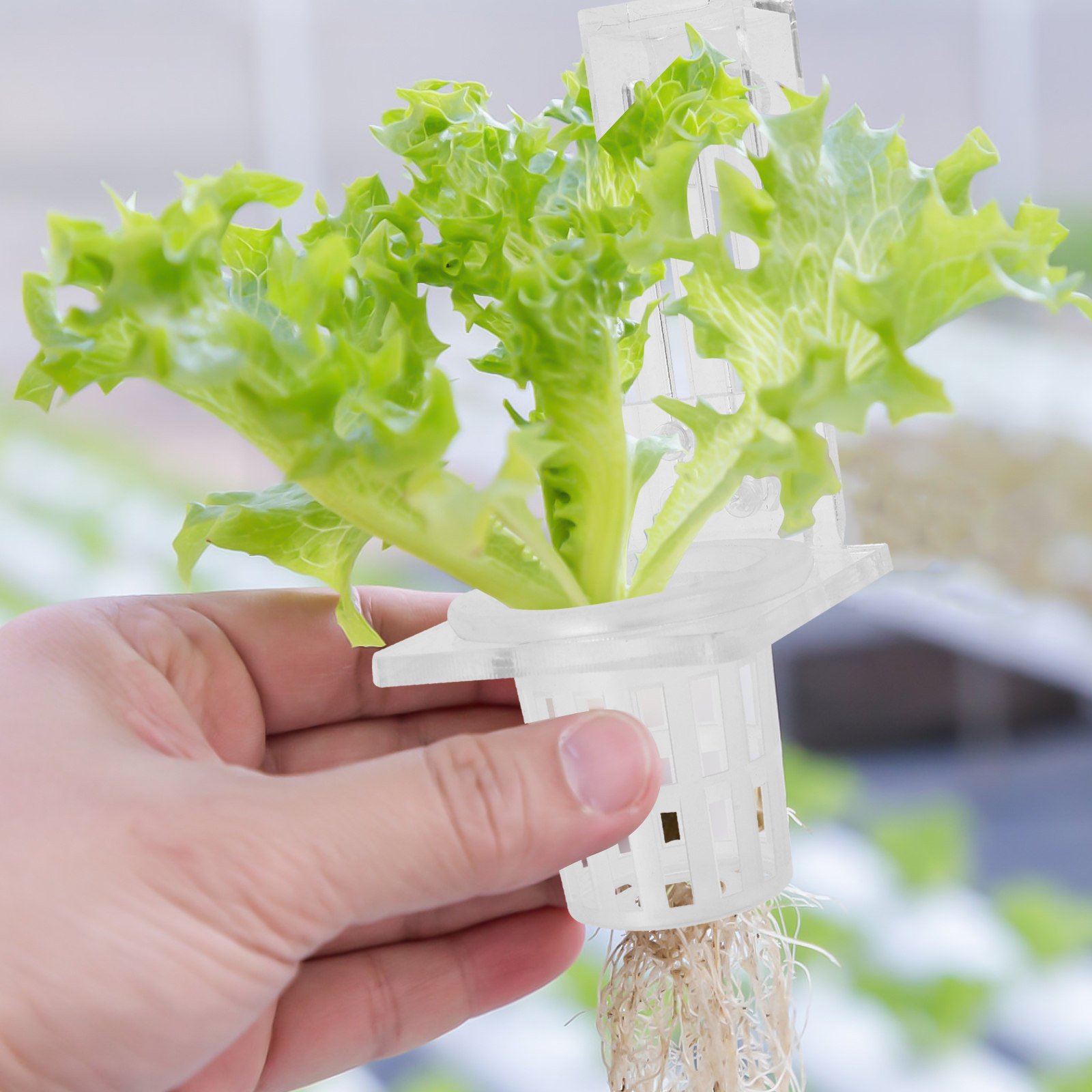 Aquarium Plant Holder Hanging  - огляд і ціна Aquarium Planted Setup