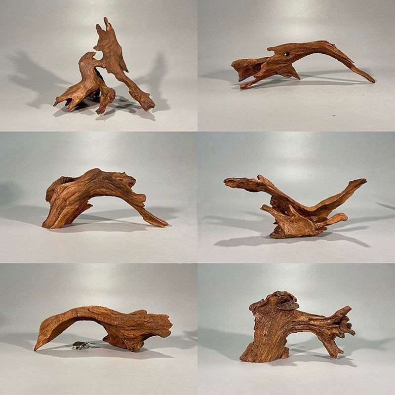 Natural Driftwood Aquarium Mos - огляд і ціна Planted Aquarium With Driftwood
