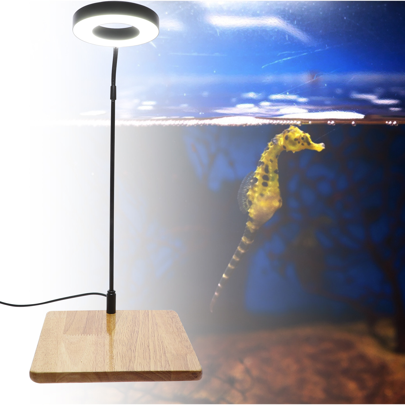 1Pcs Aquarium Fill Light High  - огляд і ціна Aquarium Planted Tank
