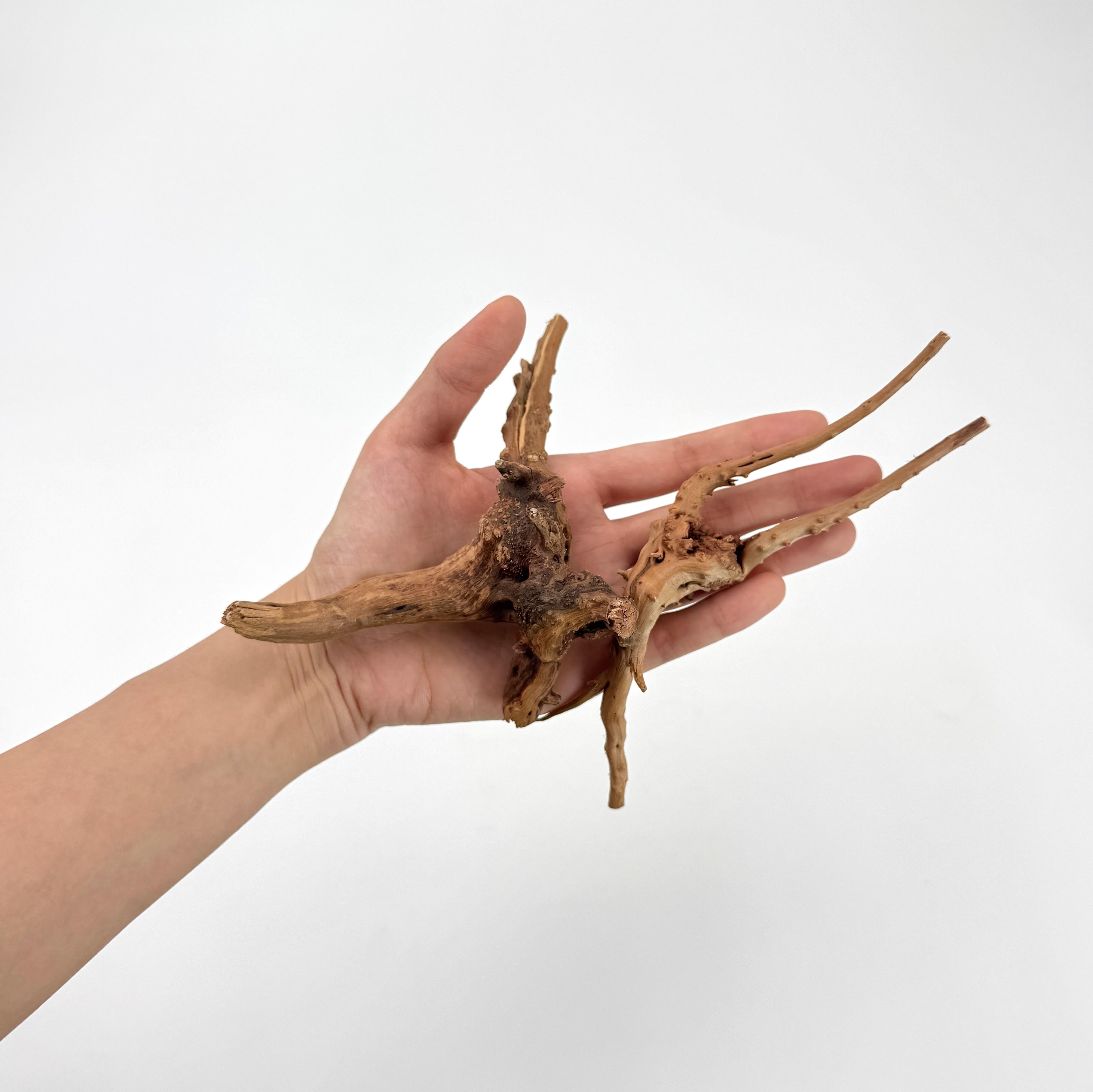 2 pcs Natural Small Spiderwood - огляд і ціна Planted Aquarium With Driftwood