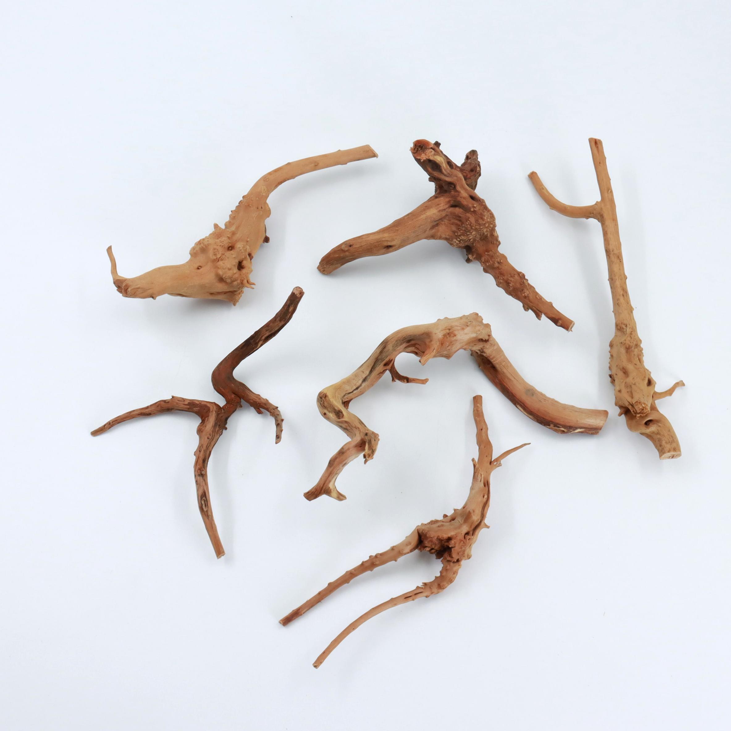 2 pcs Natural Small Spiderwood - огляд і ціна Planted Aquarium With Driftwood