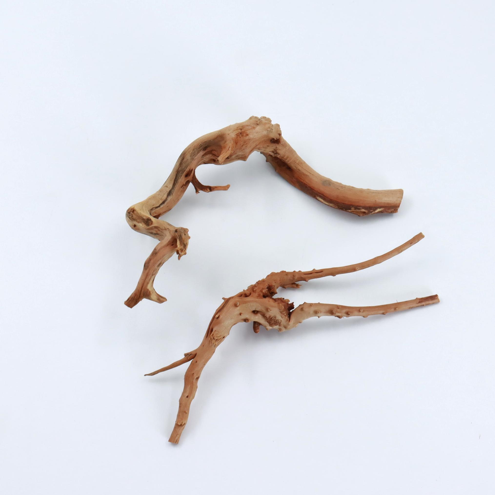 2 pcs Natural Small Spiderwood - огляд і ціна Planted Aquarium With Driftwood