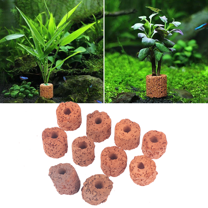 10Pcs Mini Aquatic Plant Ring  - огляд і ціна Aquarium Planted Setup