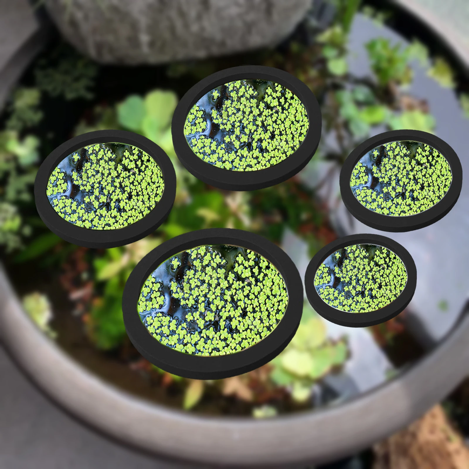 5Pcs EVA Fish Feeding Ring Aqu - огляд і ціна Aquarium Planted Tank