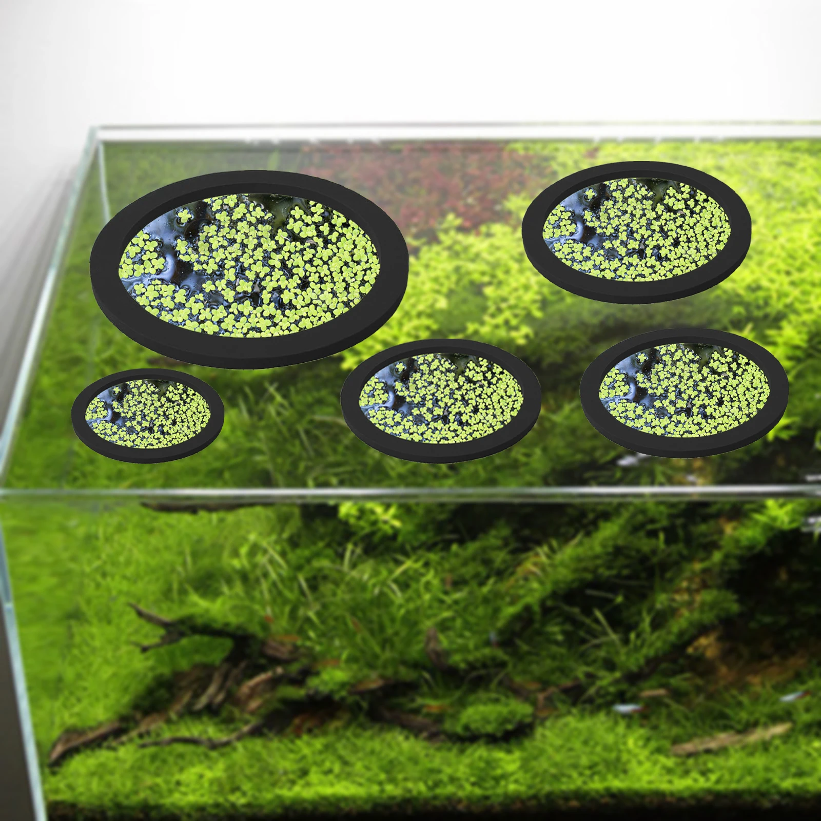 5Pcs EVA Fish Feeding Ring Aqu - огляд і ціна Aquarium Planted Tank
