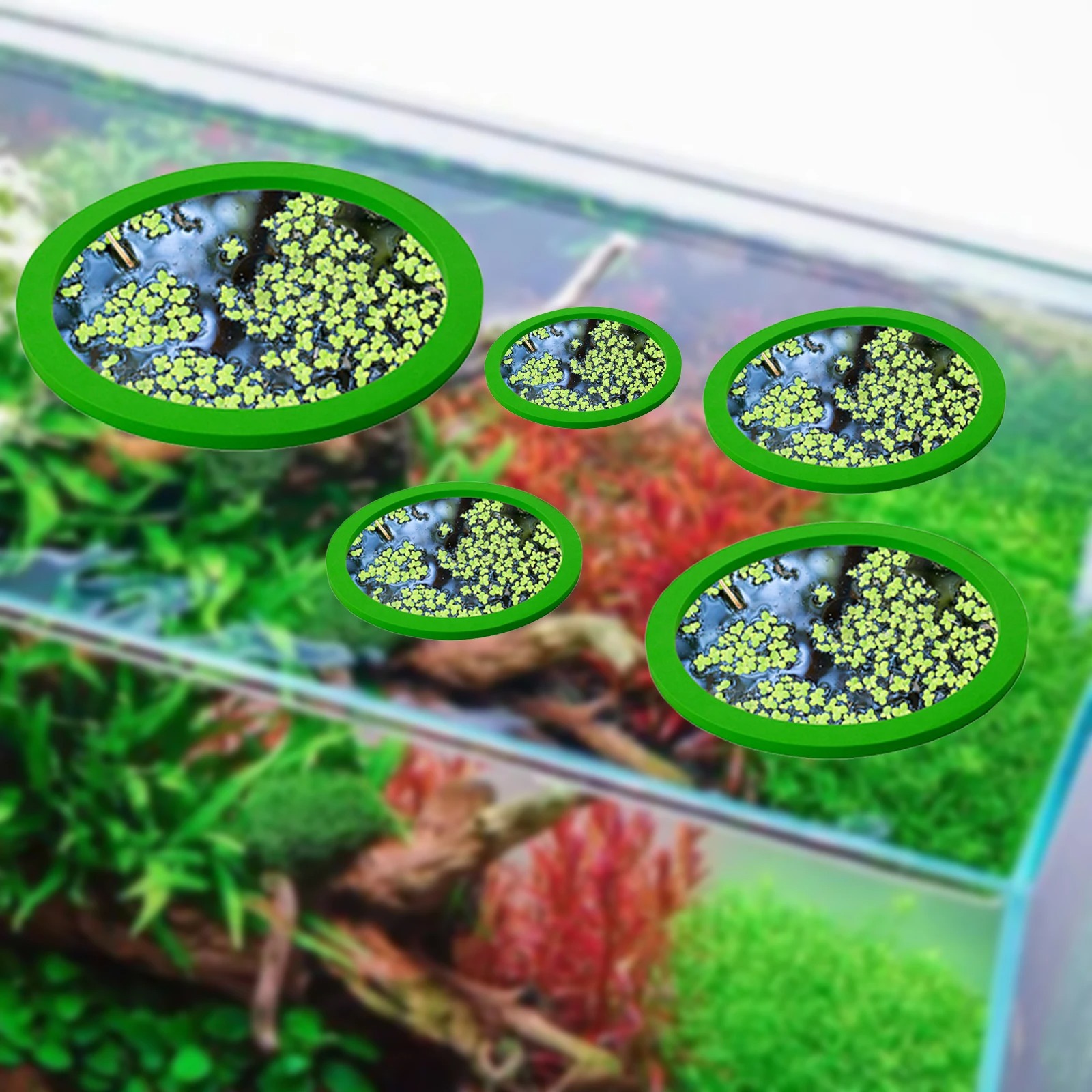 5Pcs EVA Fish Feeding Ring Aqu - огляд і ціна Aquarium Planted Tank