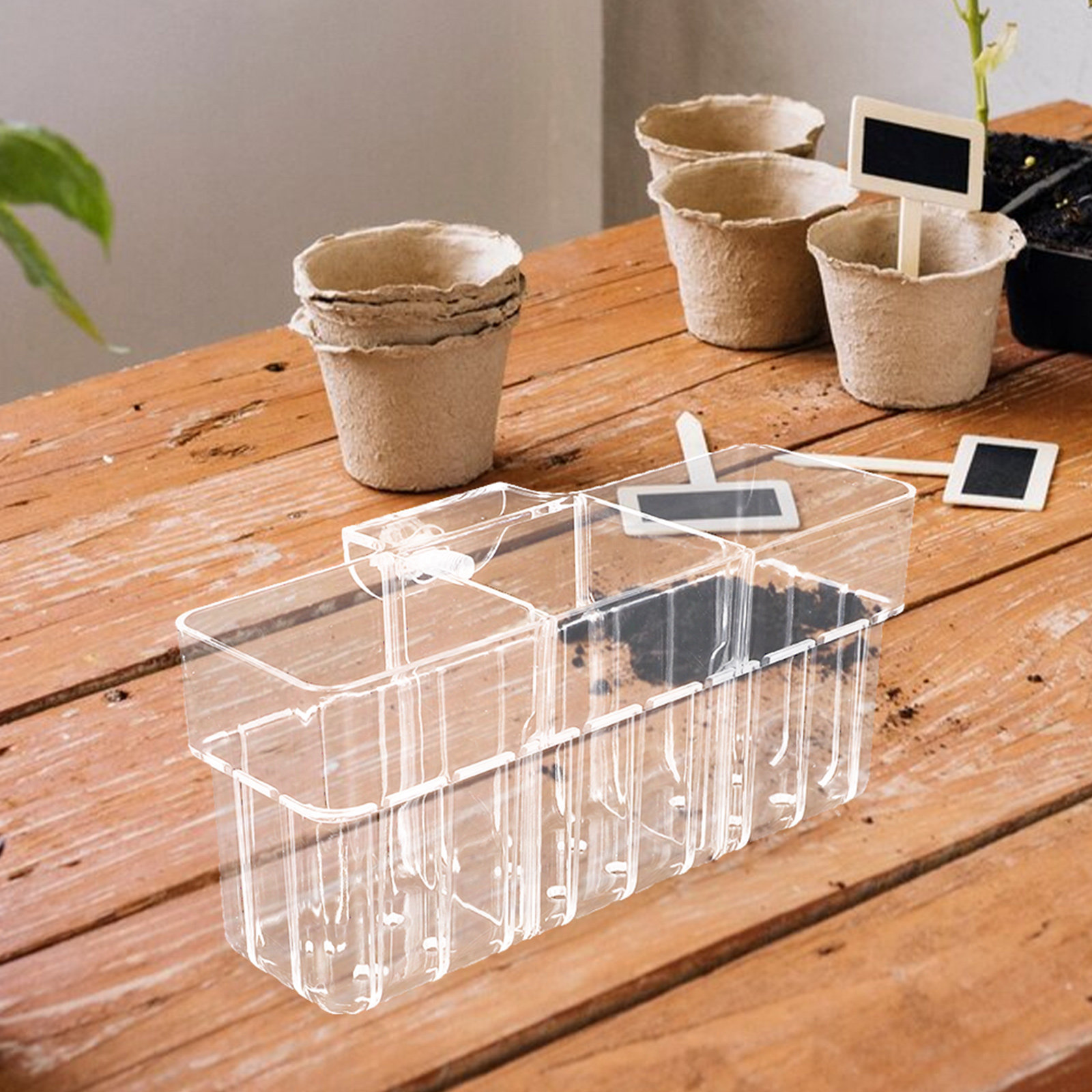 Three Compartment Transparent  - огляд і ціна Aquarium Plant Nursery