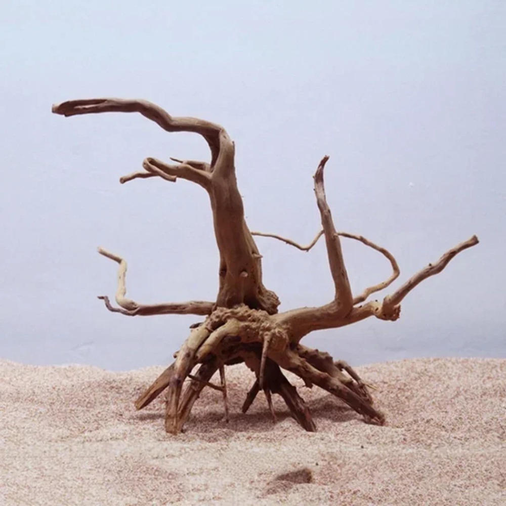 Natural Tree Trunk Driftwood A - огляд і ціна Planted Aquarium With Driftwood