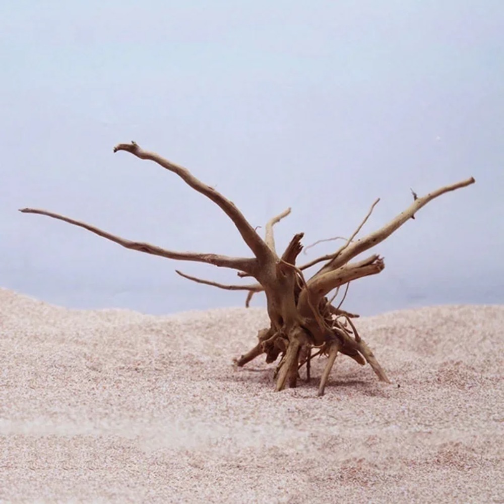 Natural Tree Trunk Driftwood A - огляд і ціна Planted Aquarium With Driftwood