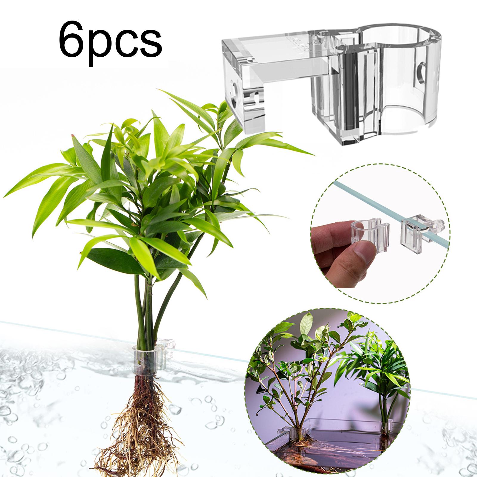 6Pcs Aquarium Plant Holder Sup - огляд і ціна Aquarium Plant Nursery