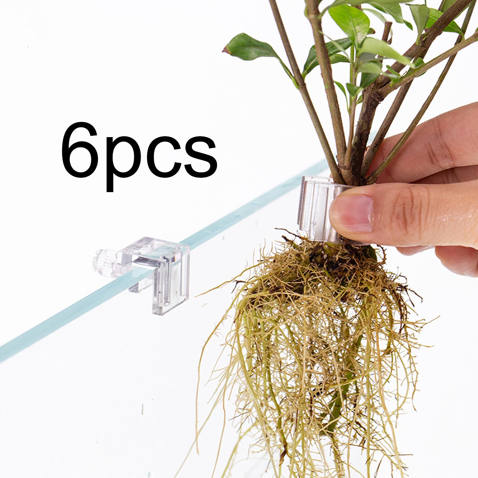 6Pcs Aquarium Plant Holder Sup - огляд і ціна Aquarium Plant Nursery