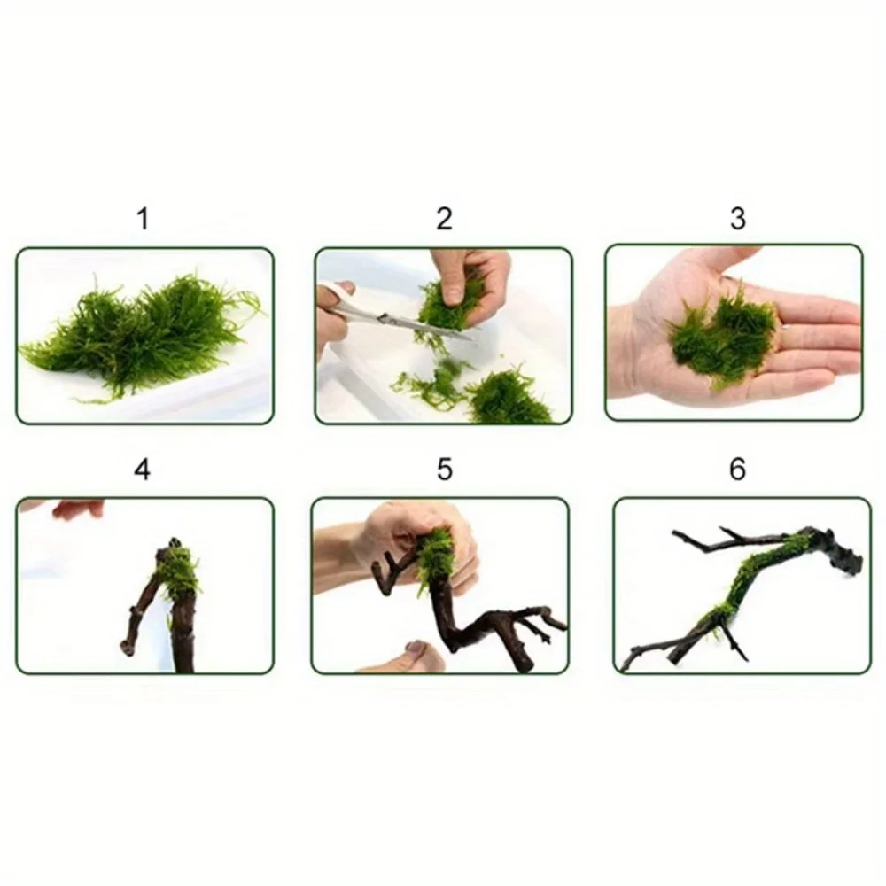 1Roll DIY Moss Line Binding Li - огляд і ціна Planted Aquarium With Driftwood