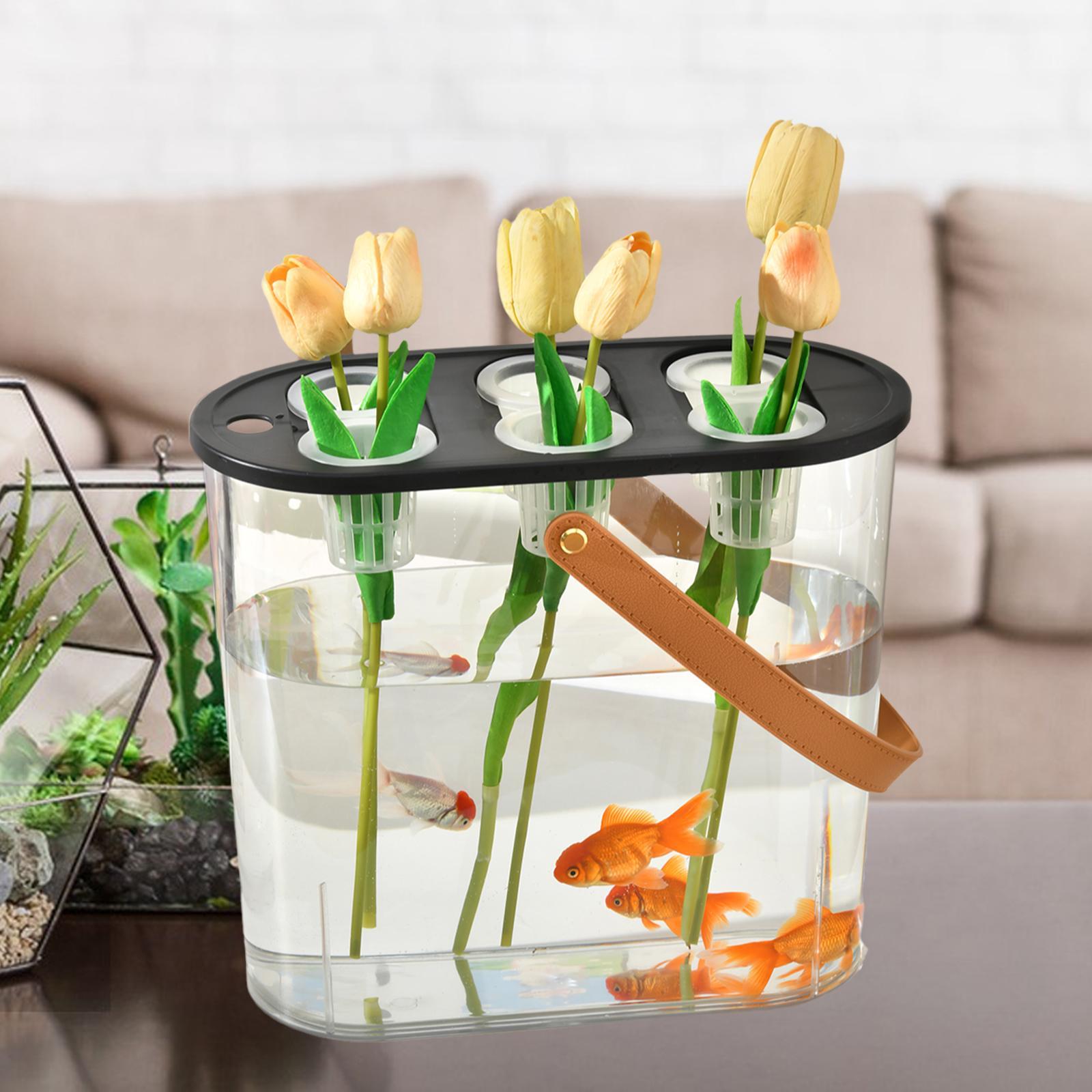 Hydroponic Planting Box 6 Hole - огляд і ціна Aquarium Plant Nursery
